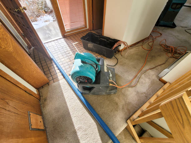 Best Professional water damage repair  in Campbelltown, PA