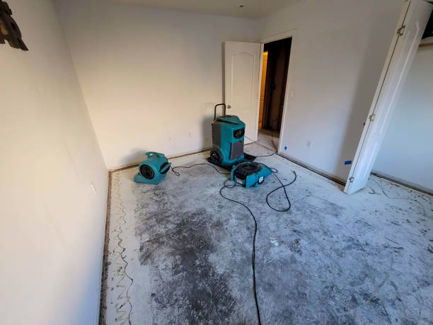Best 24-hour water damage restoration  in Campbelltown, PA