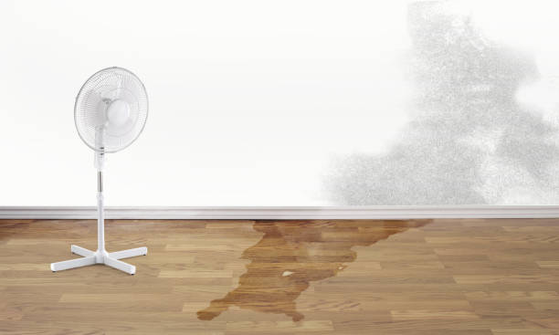 24/7 water damage repair in Campbelltown, PA