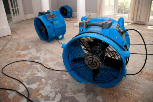 Best Water damage restoration near me  in Campbelltown, PA